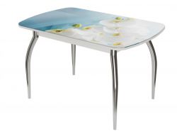 Стол обеденный Бостон 2 триумф белая орхидея