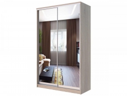 Шкаф-купе Хит 23-4-14-55