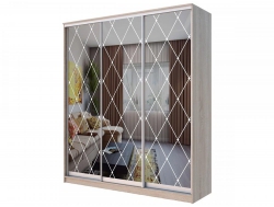 Шкаф-купе Хит 24-20/2-666