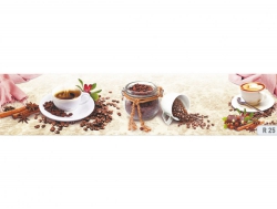 Кухонный фартук глянцевый R-25