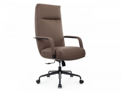 Кресло Отто RCH CM-P001AS (B916)